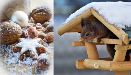 Es weihnachtet sehr. Fotos: Ralph / Pixabay