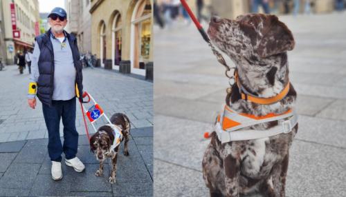 Mit Duffy fühlt sich Klaus Hermann selbst in Kölns Innenstadt sicher. Fotos: Sabrina Steiger