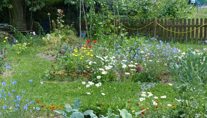 In diesem bunten Garten mit verschiedensten Pflanzen sprießt das Leben. Foto: Betina Küchenhoff