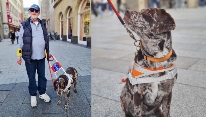 Mit Duffy fühlt sich Klaus Hermann selbst in Kölns Innenstadt sicher. Fotos: Sabrina Steiger